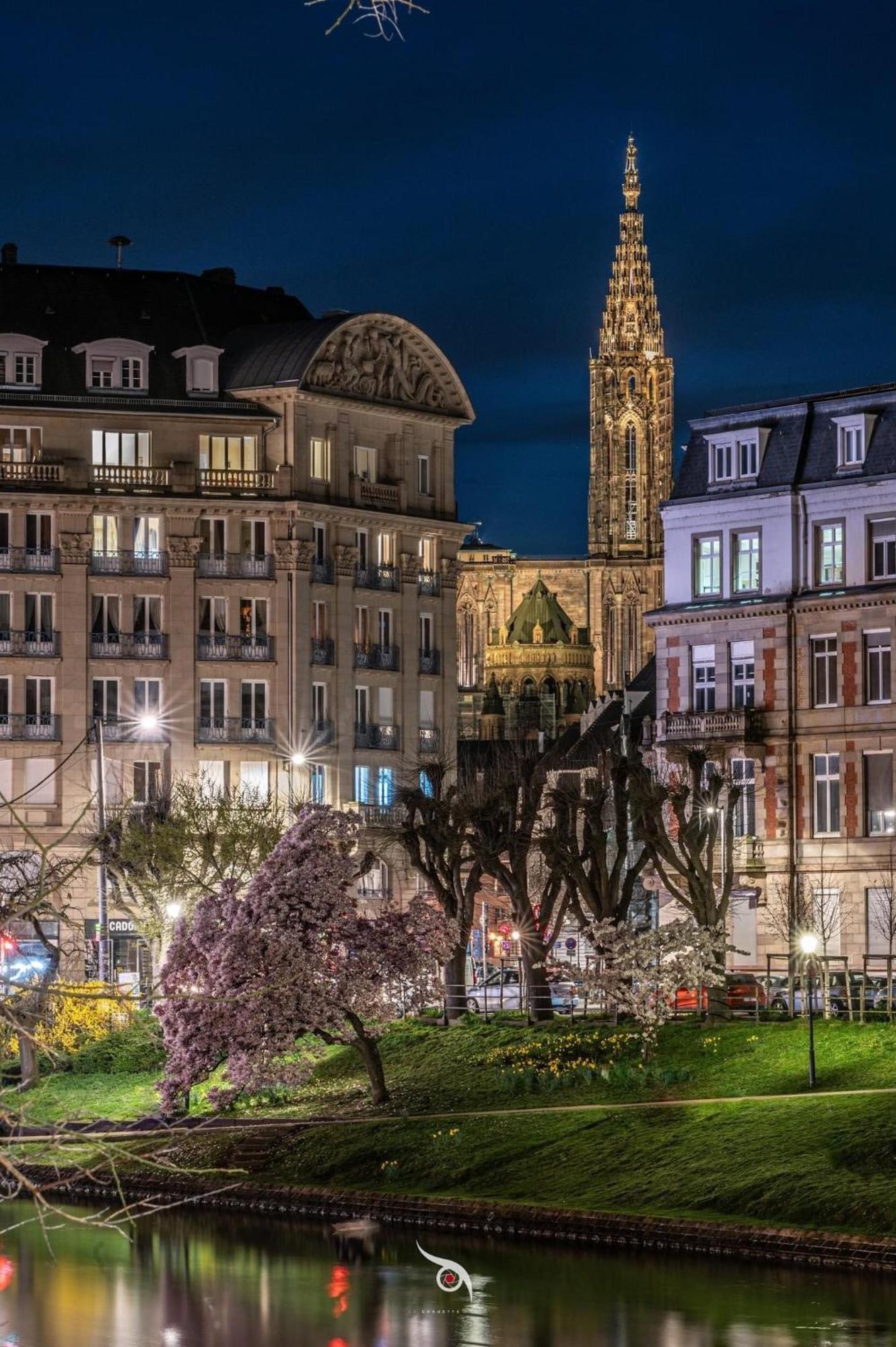 Appart & Studio Hyper Centre De Strasbourg - Proche Cathedrale & Petite France Ngoại thất bức ảnh