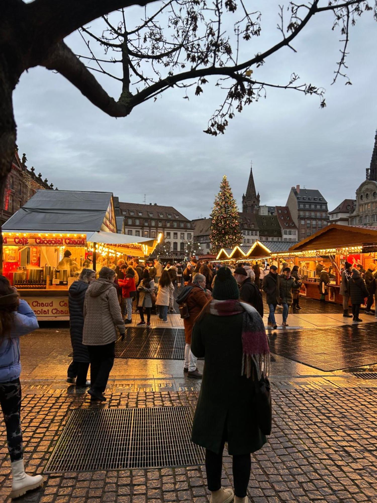 Appart & Studio Hyper Centre De Strasbourg - Proche Cathedrale & Petite France Ngoại thất bức ảnh
