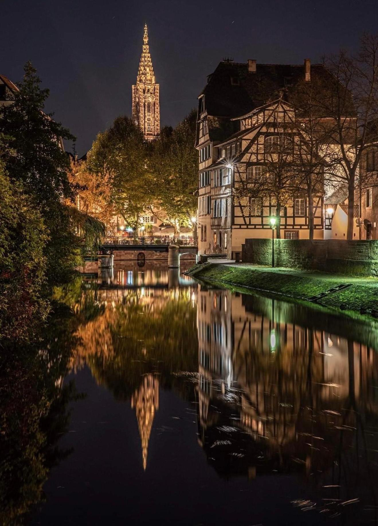 Appart & Studio Hyper Centre De Strasbourg - Proche Cathedrale & Petite France Ngoại thất bức ảnh