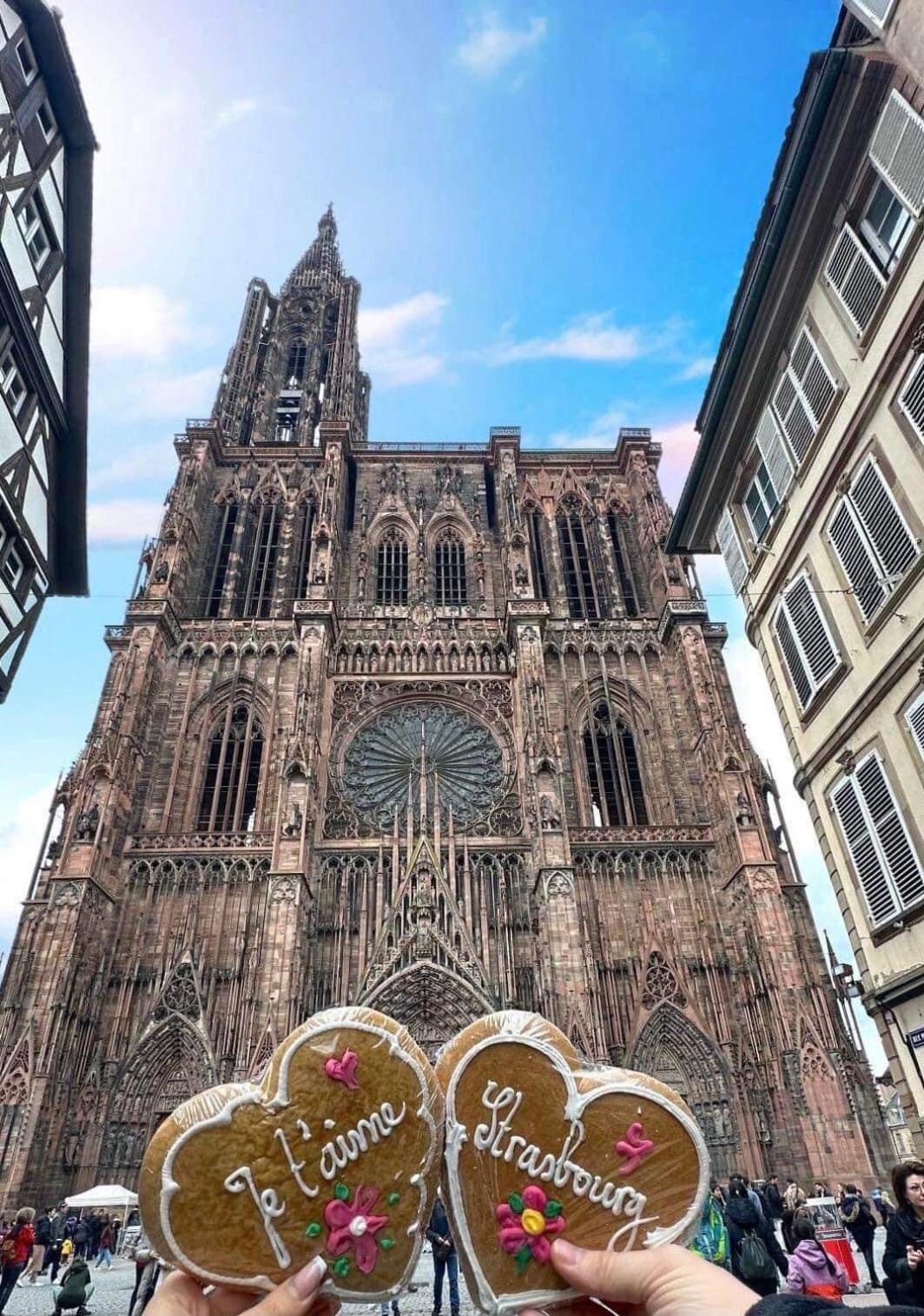 Appart & Studio Hyper Centre De Strasbourg - Proche Cathedrale & Petite France Ngoại thất bức ảnh