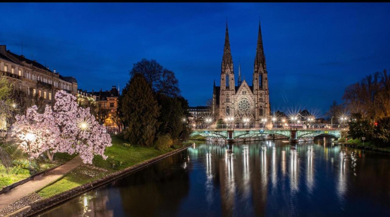 Appart & Studio Hyper Centre De Strasbourg - Proche Cathedrale & Petite France Ngoại thất bức ảnh