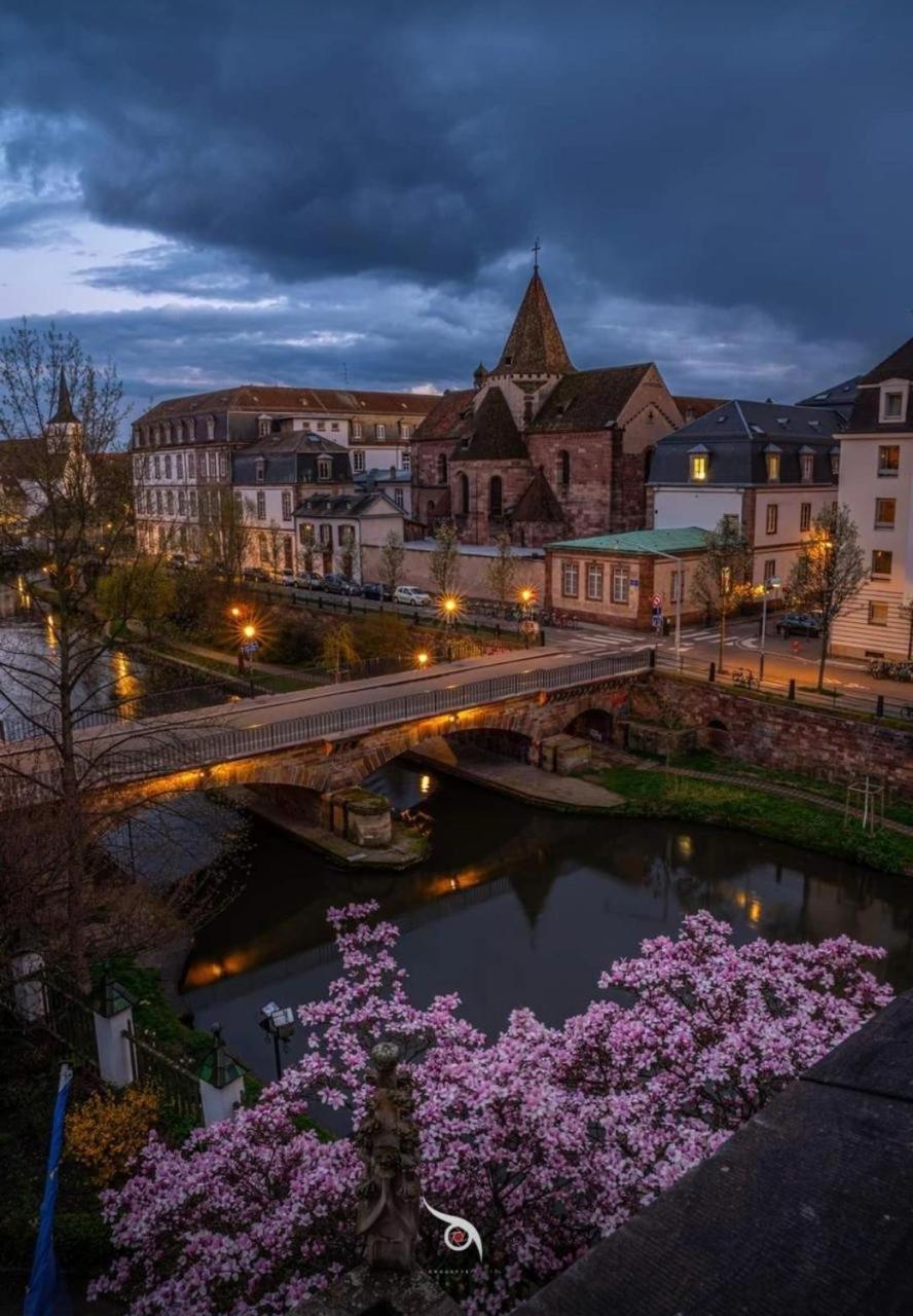 Appart & Studio Hyper Centre De Strasbourg - Proche Cathedrale & Petite France Ngoại thất bức ảnh