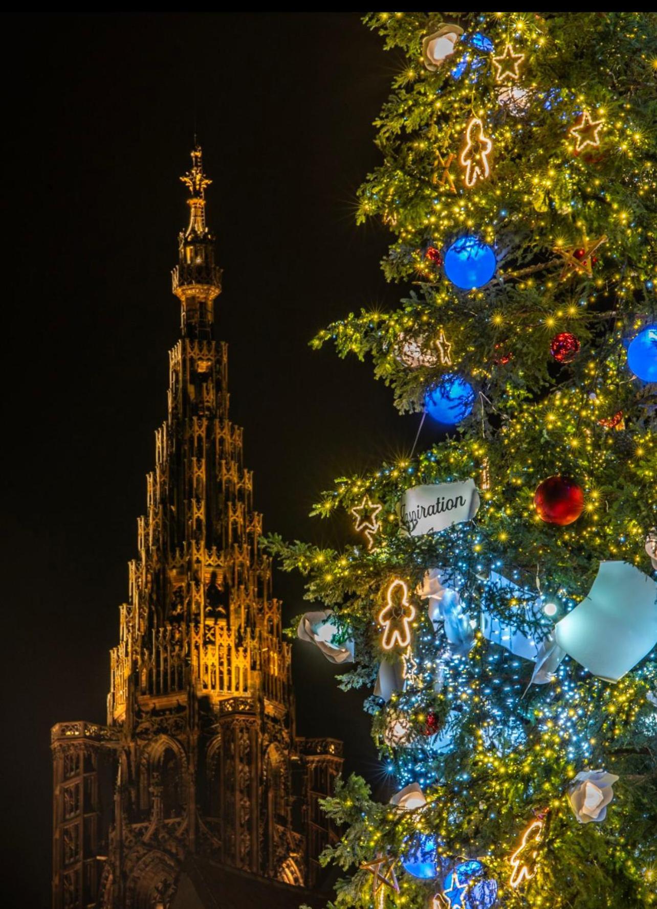 Appart & Studio Hyper Centre De Strasbourg - Proche Cathedrale & Petite France Ngoại thất bức ảnh